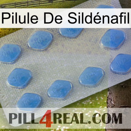 Pilule De Sildénafil 21
